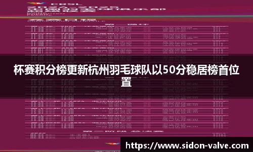 VSport-胜利因您更精彩