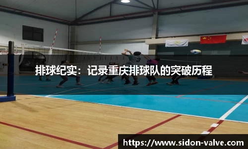 VSport-胜利因您更精彩