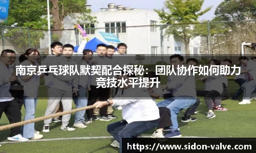 南京乒乓球队默契配合探秘：团队协作如何助力竞技水平提升
