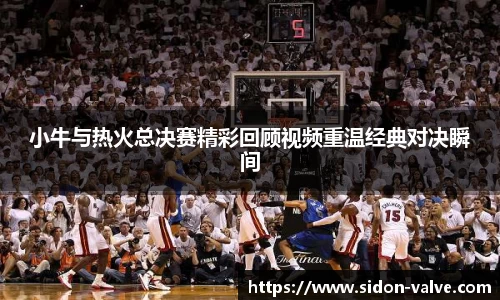 小牛与热火总决赛精彩回顾视频重温经典对决瞬间