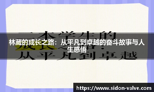 林葳的成长之路：从平凡到卓越的奋斗故事与人生感悟