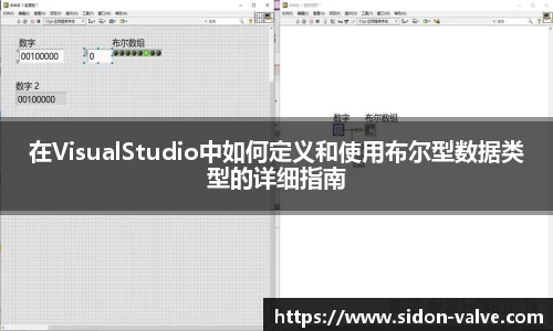 在VisualStudio中如何定义和使用布尔型数据类型的详细指南