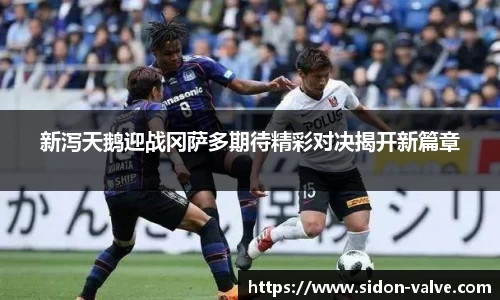 新泻天鹅迎战冈萨多期待精彩对决揭开新篇章