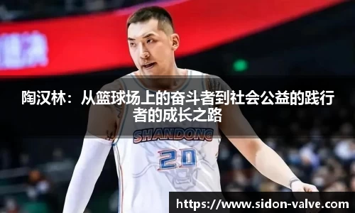 陶汉林：从篮球场上的奋斗者到社会公益的践行者的成长之路