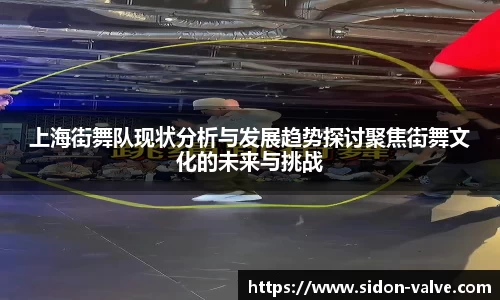 上海街舞队现状分析与发展趋势探讨聚焦街舞文化的未来与挑战