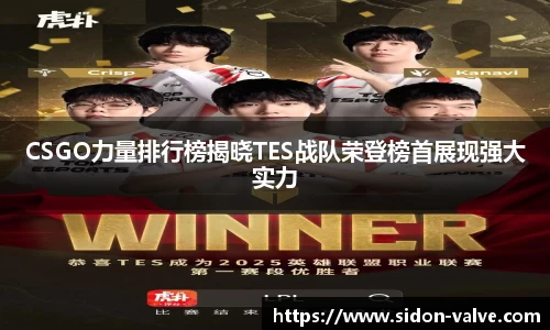CSGO力量排行榜揭晓TES战队荣登榜首展现强大实力