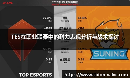TES在职业联赛中的耐力表现分析与战术探讨