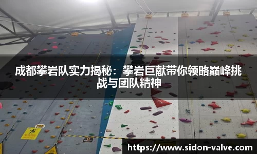 成都攀岩队实力揭秘：攀岩巨献带你领略巅峰挑战与团队精神